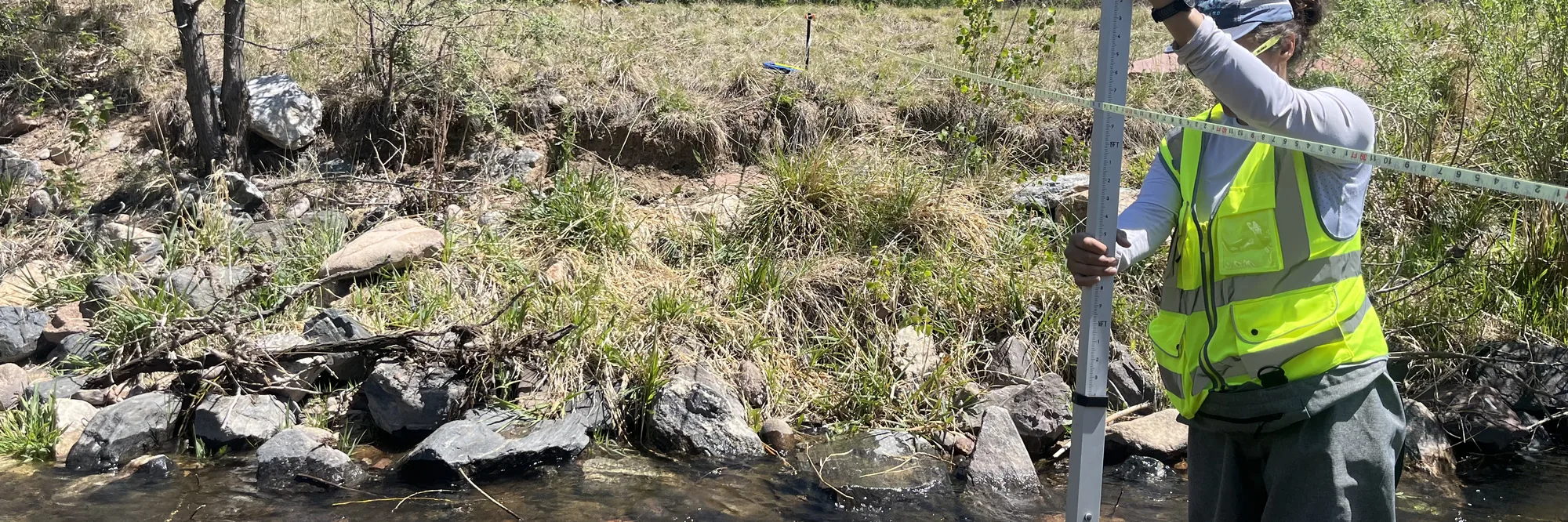 A surveyor in a high-visibility vest holding a stadia rod at the edge of St. Vrain Creek, with the transect tape strung across the channel